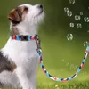 Guinzaglio per collare per cani personalizzato Set targhetta personalizzata stampata ID Guinzaglio in nylon per etichetta per animali domestici incisa Pitbull 220208236C5697288