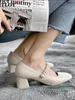 Kleid Schuhe Frauen Dicke Heels Mode Luxus Design Pumpen Frühling Mid-ferse Mary Jane Damen Sommer Vintage