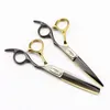 Germany JAGUAR 6.0 inch cutting/thinning hair scissors 9CR 62HRC Hardness black and golden handle with retail gift case