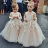 女の子のドレスの花の女の子ふくらんでいるチュールレースアップリケ子供の誕生日のドレスファーストコミッションガウン