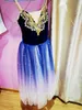 Professional Long Ballet Tutu Dress Gradient Blue Ballerina Adult Kids Costumes Party Dance Women Girls Stage Wear