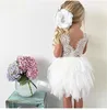 1-5Y Princess Girls Sukienka Toddler Kid Dziewczyny Koronki Party Wedding Urodziny Tutu Sukienki Dla Dziewczyn Dress Dress Q0716