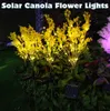 Outdoor Solar Lawn Light Canola Blommor Vattentät LED Powered Lights för Garden Patio Yard Dekoration