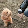Factory Direct Sales Pet Supplies Automatic Retractable Wrist Nylon Belt Dog Collars & Leashes