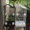 Stor fågelbur 39 tums taket ståltråd plastmatare Papegoja Sun Parakeet Green Cheek Finch Canary Black White Cages