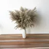 Flores decorativas grinaldas 10pcs lindas pampas naturais vaso de plástico de flores secas de grama para o buquê de decoração de fase de casamento