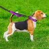 Hondenkragen riemen aanrichting leiden elastische bungee nylon reflecterende hardlopen puppy wandeltractie 2 handgrepen 2 handgrepen