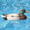 Flytec V201 2.4g 4ch Duck RC Båt Double Motor Jakt Motion Decoy Swimming Pool Flytande leksaker