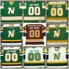 north stars hockey.