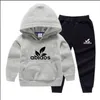 Kids Clothing Sets Baby Boy Hoodie Twopiece Suit Autumn Girl Suits Child Sweatshirt Sweatpants Hooded 7 Styles 14 Options Size 9810837