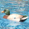 Flytec V201 24G 4CH Duck RC Boat Double Motor Hunting Motion Decoy Swimming Pool Floating Toys9338690