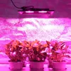 LED Grow Light Full Spectrum 50W 100W Waterdichte IP67 Groeit lichten voor hydroponic plantaardige broeikasplanten