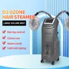 Professional Ozone Hair Steamer Cap for Two Persons Use Micro Mist Steamer Adjustable Time and Temperature Salon Equipment