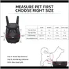 Autostoelingen voorraden Home Gardendouble Schouderdrager Pet Cat Voorzak Adem Mesh Outdoor Travel Backpack voor draagbare honden Dog T