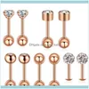 Stud Jewelrystud 10 Stücke Set Luxus Ohrstecker Für Frauen Ball Ohrring Shinning Kristall Ohr Piercing Knorpel Schmuck Aessory1 D237D