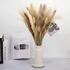 장식용 꽃 화환 1 무리 팜파 진짜 말린 팜파스 잔디 Fleurs Sechees Reed Phragmites 식물 웨딩 파티 홈 데코를위한 꽃다발