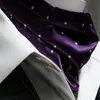 Papillon Freccia Dot Business Dress Sciarpa Cravatta Gentleman europeo e americano Jacquard Ascot