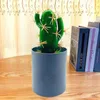 Dekorativa Blommor Kransar Fancy Artificial Plant No Watering PVC Simulering Bonsai Lovely Potted Fake Cactus