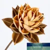 Decoratieve bloemenkransen 2 stks Natuurlijke gedroogde bloemtak, Craft Lotus, DIY Display voor Room Office Bruiloft Gunst Floral Decor, Gift Eternne