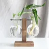 Hydroponic plant vazen ​​glazen planter bol terrarium met retro houten frame stand voor thuis tuin kantoor bruiloft decoratie hydrocultuur tafelblad planten