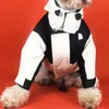 Winter Herbst verdicken Haustiere Jacken 3 Farben Persönlichkeit Charme Haustier Mantel Mode Brief Stickerei Teddy Schnauzer Jacke