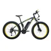 Elektrische fiets EU-kwaliteitsniveau 48V 1000W motor 13Ah lithiumbatterij 26 inch vetbandfiets