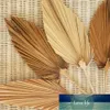Palm Fan Çiçek Doğal Kurutulmuş DIY Parti Duvar Asılı Düğün Dekor