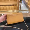 Clutch lady Chain wallets hasp fashion famous designer hot handbag top leather Large capacity Interior Compartment women flap female practical totes Striped purse