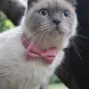 Бархатный кот ошейник воротник сплошной цвет лук-щенок чихуахуа ожерелье с колокольчиком регулируемая безопасность пряжка бабочка галстуки для домашних животных аксессуары