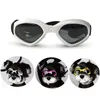 Gafas de sol para Gato, gafas de esquí plegables para mascotas, ropa para perros, moda para exteriores, suministros para perros Bulldog, accesorios