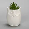 Yefine Creative Ceramic Flowerpot Sadzarka Bonsai Garnki Garnki Sadzarki Jardin Bonsai Biurko Soczyste Doniczka Kwiatowe Słodkie Doniczki 210401