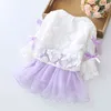 Säuglingsmädchen Kleid Frühling langarm Hohldruck Prinzessin Party Süße Baby Kleidung Set Spitze Mesh Nähte 210515