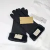 Nieuwe dames canvas kasjmier handschoenen herfst warme pluche winddicht vijfvingerige mode wanten