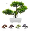 Dekoracyjne kwiaty wieńce fałszywe sztuczne rośliny drzewo bonsai doniczkowe rośliny wystrój dekoracji żywicy basen + plastikowa symulacja Moss Foa