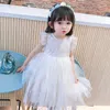 Borboleta asas bordadas vestidos de flor pequeno para menina 2021 verão toddler adorável bebê meninas casa traje princesa vestido q0716