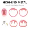 Nxy Cockrings Pink Resin Ht V4 Male Chastity Device with 4 Penis Ring Plastic Cock Cage Bondage Fetish Belt Sex Toy for Men 1206