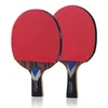table tennis paddle rubbers