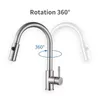 Robinets De Cuisine SKY RAIN Robinet À 2 Jets En Acier Inoxydable Avec Mitigeur De Douche Jet D'évier