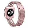 Geschikt voor Apple Watch Bands Metal Denim Chain Iwatch Banden dubbele rij polsbandjes 3840 mm 4244mm8053964