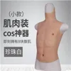 BHs setzt 4Style Männliche Schaufensterpuppe Körpermuskel gefälschte Bauchtuchmantel Requisiten Cosplay Animation Masturbation Doll Sex Brut Silikon D520