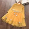 Vestidos da menina Malha de Star Gaze Saia Meninas de manga comprida Tule Saias de tule de amarração Cintos Princesa Vestido Crianças Roupas Ins Bola Vestido A-Linha Underdress WMQ1054