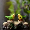 Papagaio Decorativo DIY DIY Boll Doll Ornament Moss Micro Paisagem Decoração Fada Garden Terrário Acessórios Material Cartoon Kid's RRD1