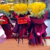 100Pcs Natural Plants Wheat Ear Dried Flower Bouquet for Living Room Decoration Shopping Mall Flower Arrangement Window Chen Mei