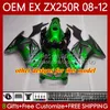 OEM Body Skull Black Green för Kawasaki Ninja EX250 ZX250 R EX ZX 250R ZX-250R 2008-2012 81NO.25 Ex-250 ZX250R 2008 2009 2010 2011 2012 EX250R 08 09 10 11 12 Injektionsare