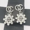 Vintage Designer Marque Double Lettre Boucles D'oreilles pour Femmes Mode Arc-En-Ciel Couleur Cristal Strass Boucle D'oreille Géométrique Papillon Goutte D'oreille Femmes Bijoux De Mariage