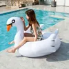 swimming swan