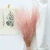 Dry Flower Natural Rabbit Grass Dried Feather Grass Preserved Flowers Party Wedding Bouquet Flower Plant Home Office Decoration 210624