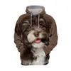 Męskie bluzy męskie bluzy Zima 3D Print Schnauzers Dog Limited Edition Przystojne stylowe swobodne zwierzę dla mężczyzn/kobiet