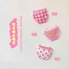 3-10Y Kids Girls Underwear Slipje Fruit Voor Baby Kind Boxers Katoen Girls Sorters Bloem Gedrukt 211122