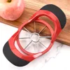 Rostfritt stål Apple Cutter Frukt Vegetabiliska verktyg 8 Petals Fruit Slicer Divider Corer Core Separator XG0417